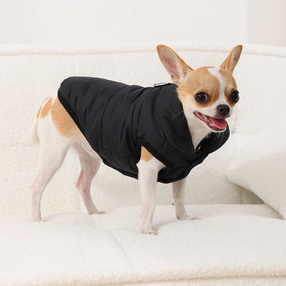 Manteau pour Chat - Polaires