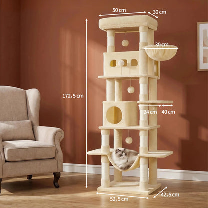 Arbre à Chat | Robuste et Confortable