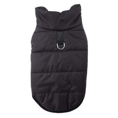 Manteau pour Chat - Polaires