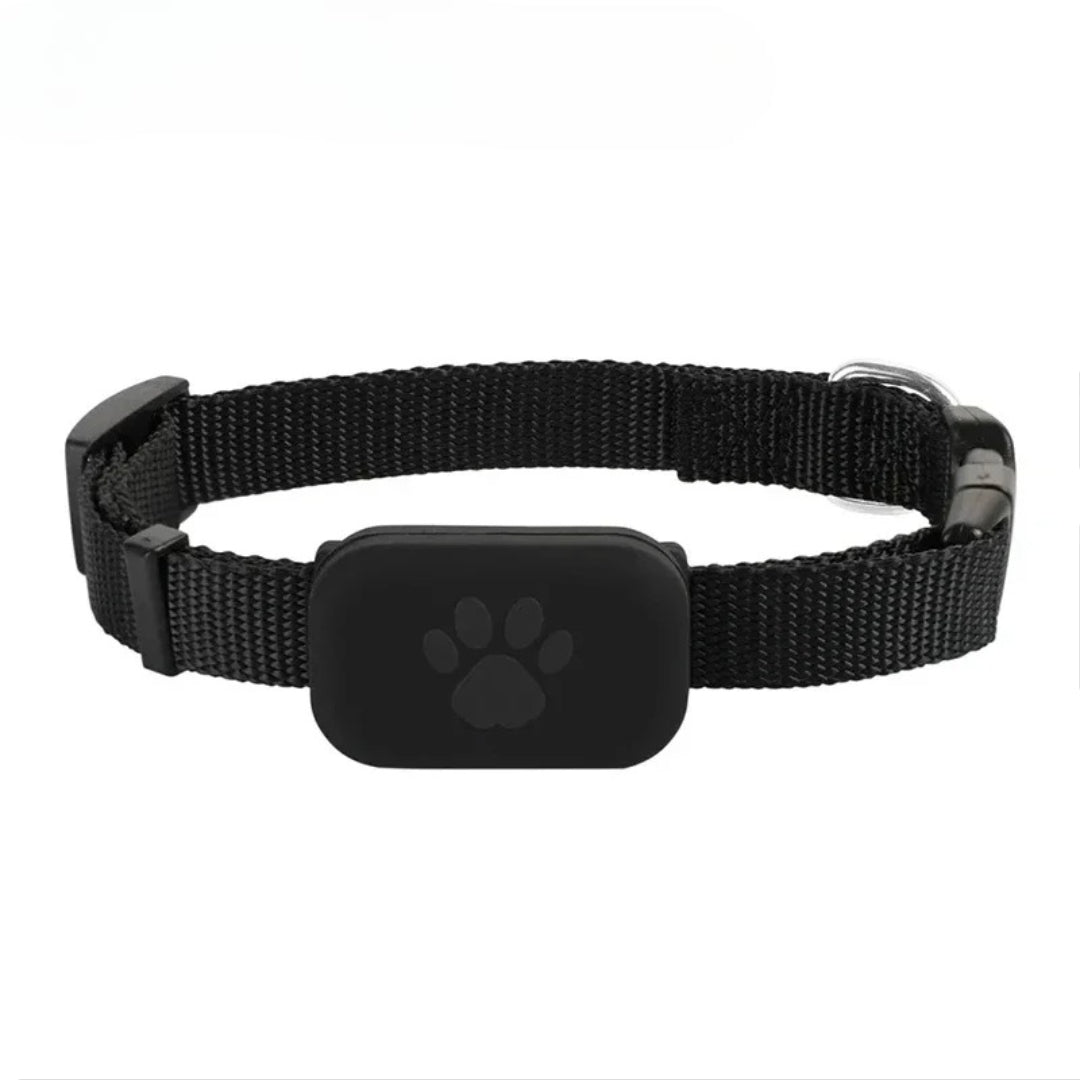Collier GPS Chat - Anti Perte