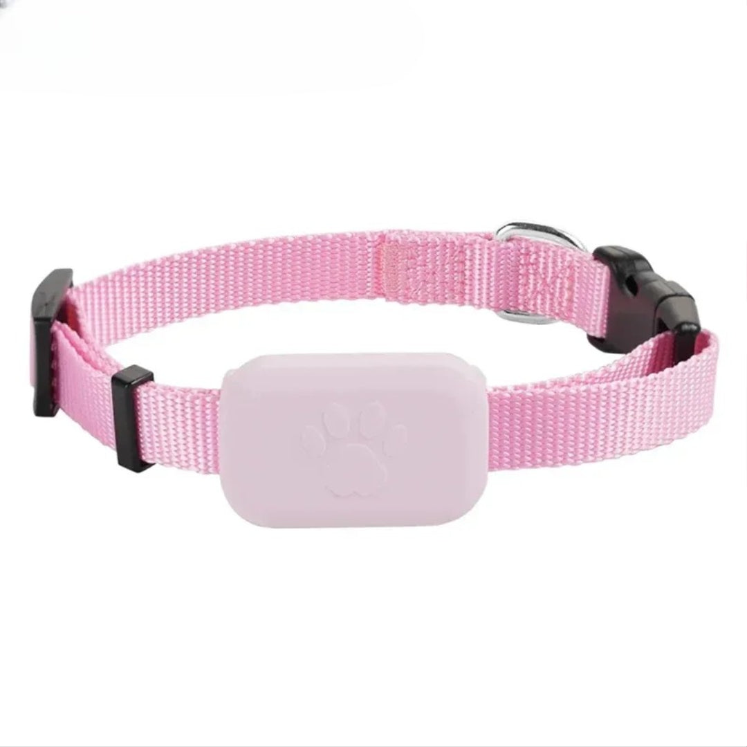 Collier GPS Chat - Anti Perte
