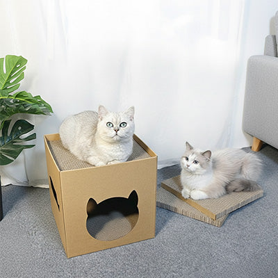 Maison en carton pour chat - Avec Griffoir