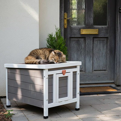 Niche chat extérieur - en bois avec isolation mousse