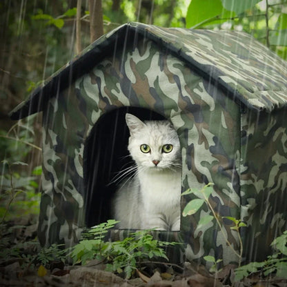 Chat blanc assis dans une niche extérieure camouflage sous la pluie, entouré de végétation.