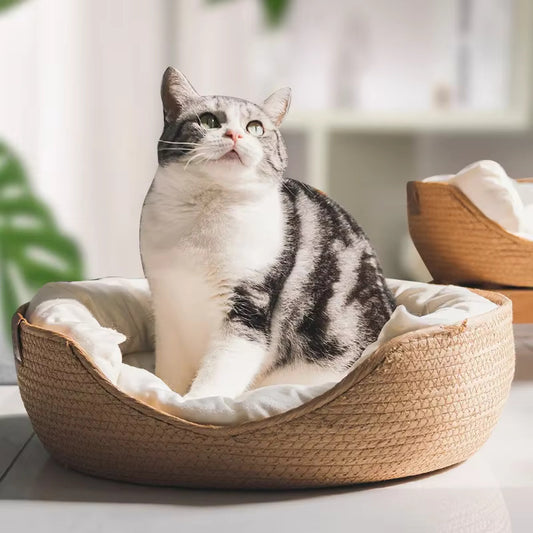 panier-osier-chat-design