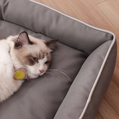 Panier pour chat – imperméable et résistant