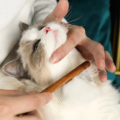 Peigne chat - Kit de 3 Pièces