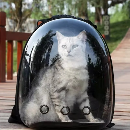 Sac à dos chat bulle - Bubble Bag