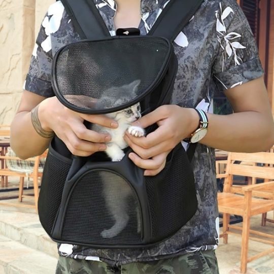 Pecute Sac à Dos pour Chat, Petit Sac à Dos pour Chien, Sac de Transport pour Chat pour Les Pecute Sac à Dos pour Chat, Petit Sac à Dos pour Chien, Sac de Transport pour Chat pour Les