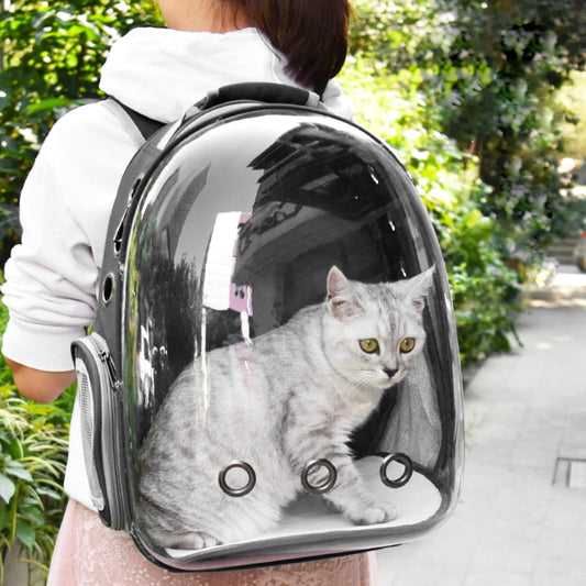 Sac à dos chat bulle - Bubble Bag