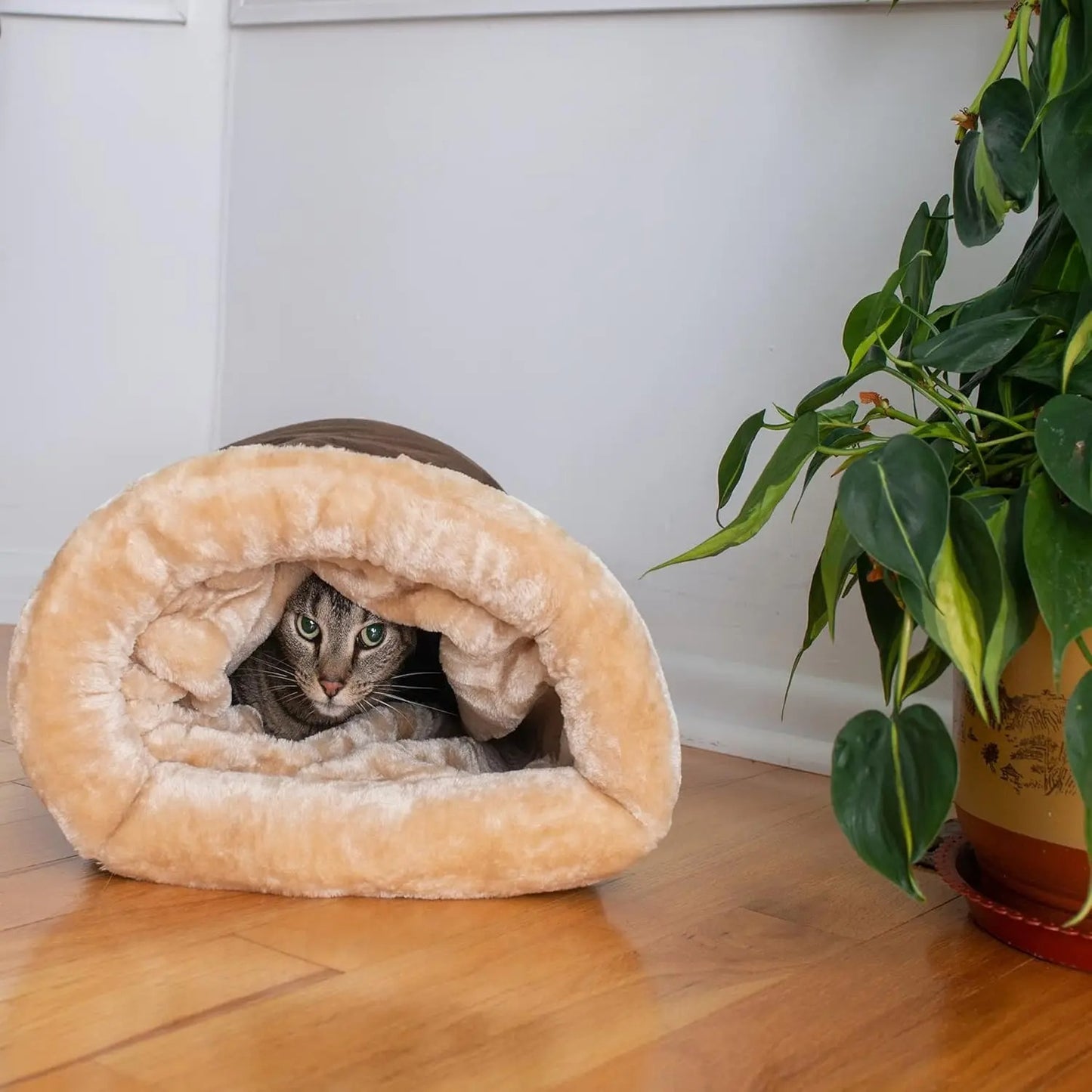 Un chat à l'intérieur d'un sac de couchage pour chat apaisant.