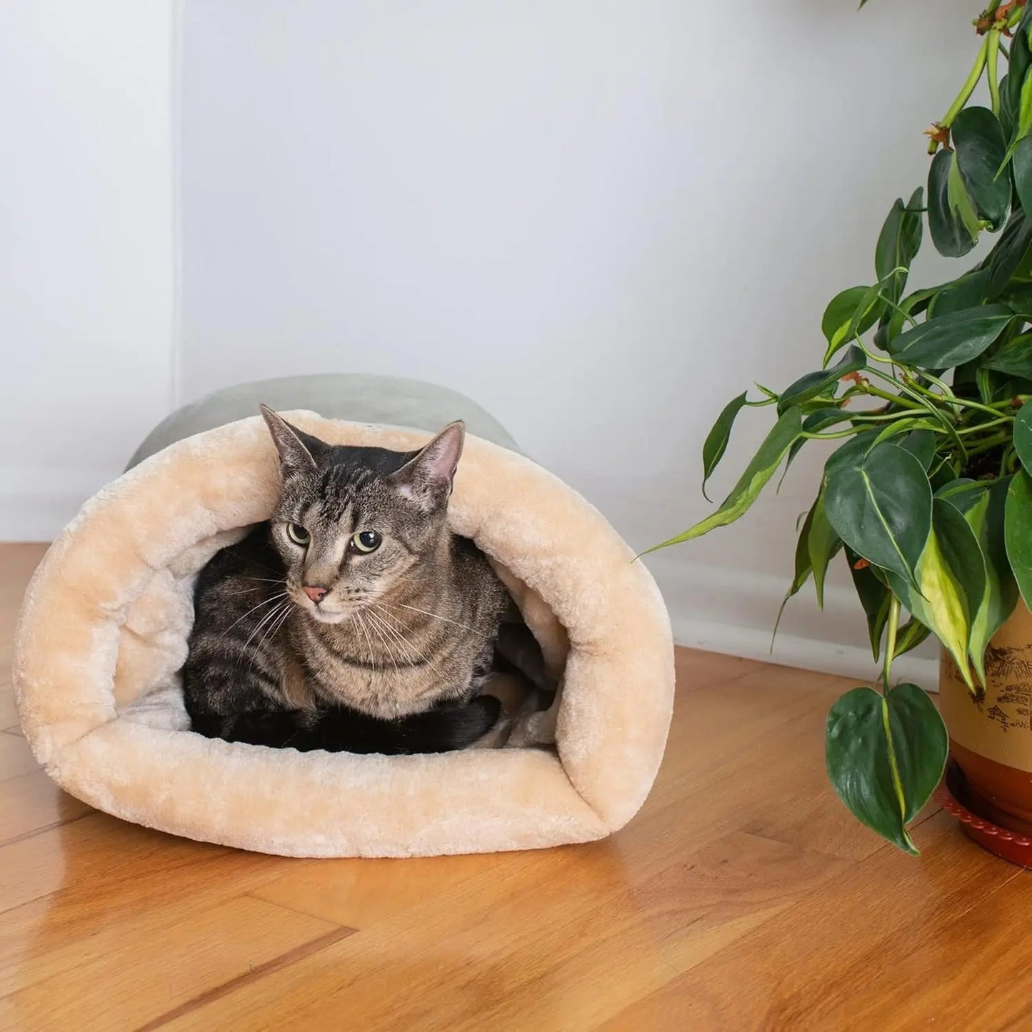 Un chat dans un sac de couchage pour chat confortable.