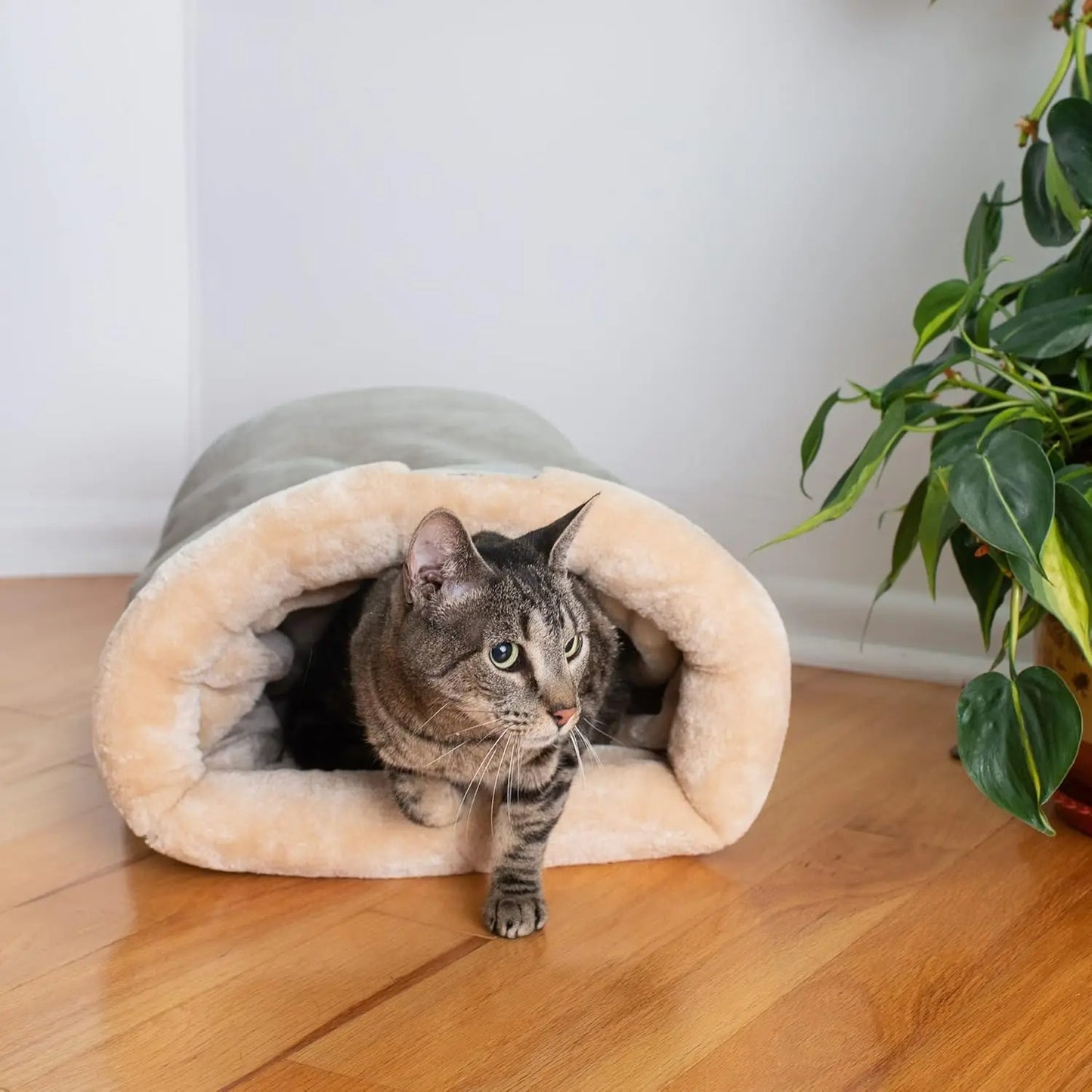 Un chat qui sort d'un sac de couchage pour chat ultra doux