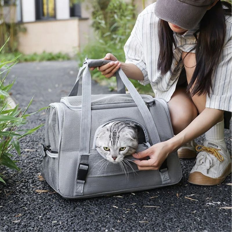 Sac transport chat - Confortable