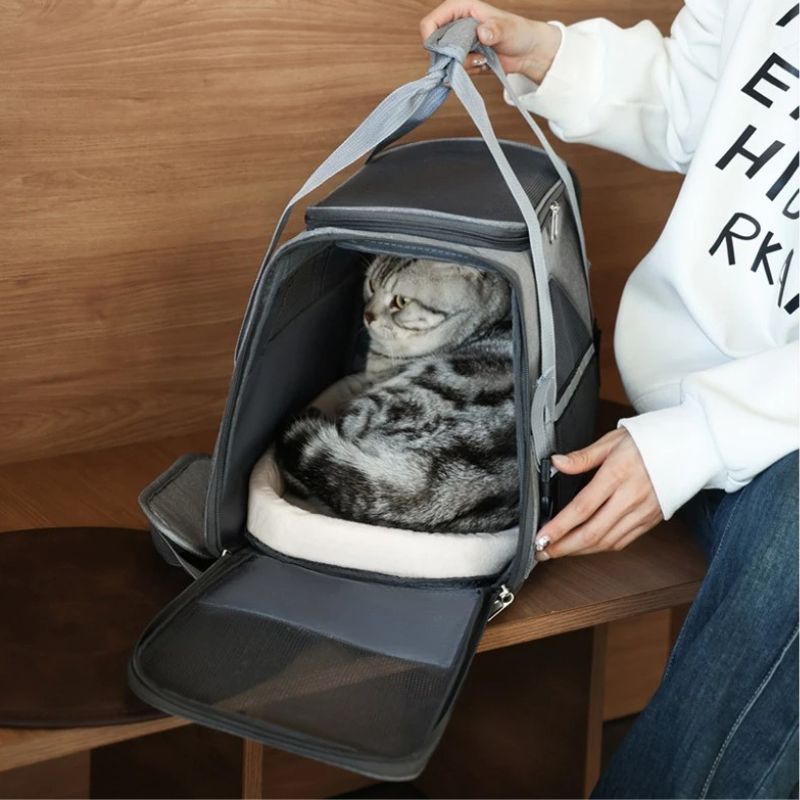Sac transport chat - Confortable
