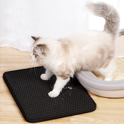 Un chat qui sort de son bac à litière et qui met ses pattes sur un tapis à litière