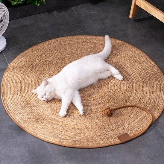 tapis-griffoir-chat-resistant