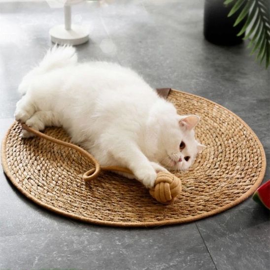 tapis-griffoir-chat-stimulant