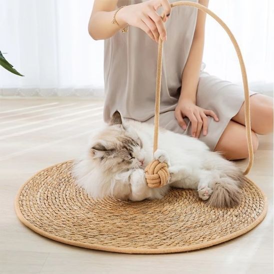 tapis-griffoir-chat