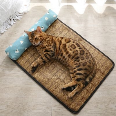 Tapis rafraichissant Chat