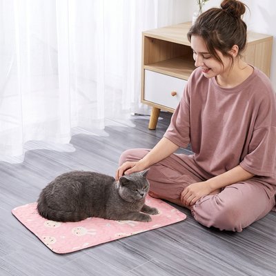 Tapis rafraichissant Chat