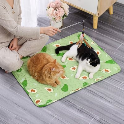 Tapis rafraichissant Chat