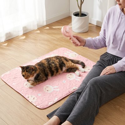 Tapis rafraichissant Chat