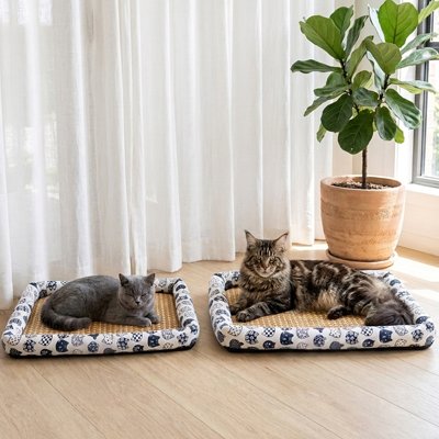 Tapis rafraichissant Chat