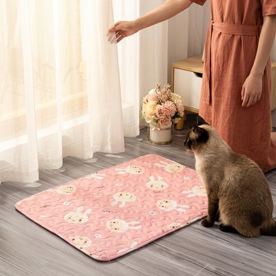 Tapis rafraichissant Chat