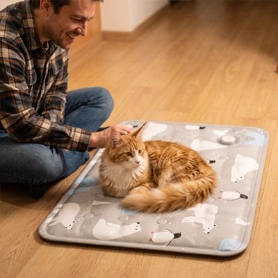 Tapis rafraichissant Chat